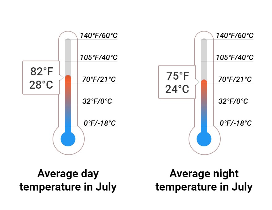 Average temperature